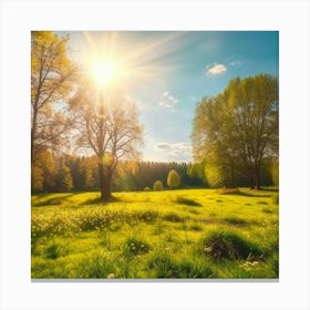 Sunny Meadow Canvas Print