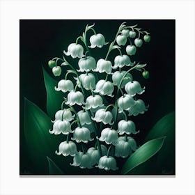 "Midnight Blooms"  In the stillness of the night, a lush cluster of lily of the valley exudes elegance, their bell-shaped flowers a milky constellation against a darkened sky.  Discover the subtle allure of 'Midnight Blooms', where the enchanting lily of the valley stands out with its pristine white blossoms against a deep, velvety backdrop. This piece captures the mystique of a moonlit garden, perfect for adding a touch of sophistication and night-time serenity to your collection. Canvas Print