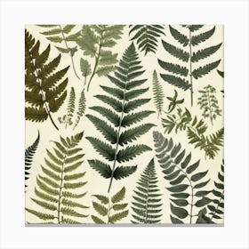 Ferns 7 Canvas Print