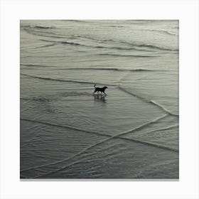 Dog On The Beach Canvas Print