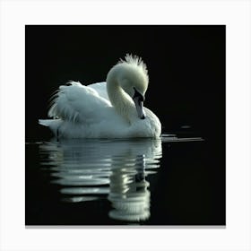 White Beautiful Swan Canvas Print