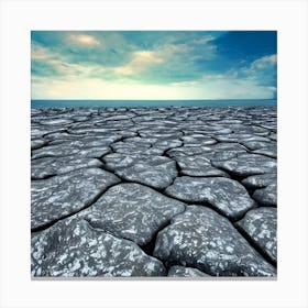 Dry Land Concept Canvas Print