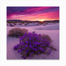 Sunset In The Desert 1 Canvas Print