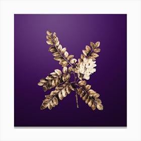 Gold Botanical Clammy Locust on Royal Purple n.1282 Canvas Print