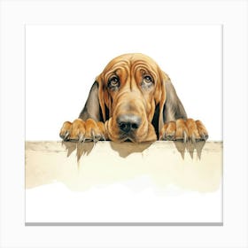 Hound Dog Canvas Print