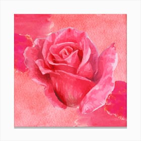 Pink Rose Watercolor Painting Canvas Print