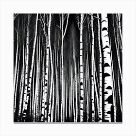 Birch Forest 44 Canvas Print