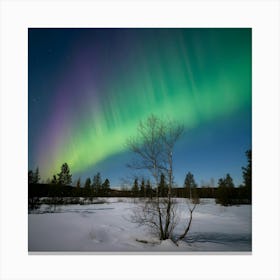 Aurora Borealis 3 Canvas Print