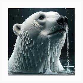 Wet Polar Bear Canvas Print