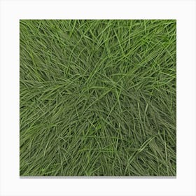 Grass Background 22 Canvas Print
