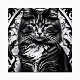 Black And White Cat 24 Canvas Print