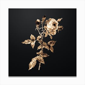 Gold Botanical Provence Rose on Wrought Iron Black n.0824 Canvas Print