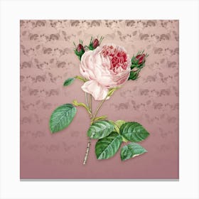 Vintage Centifolia Roses Botanical on Dusty Pink Pattern n.0815 Canvas Print