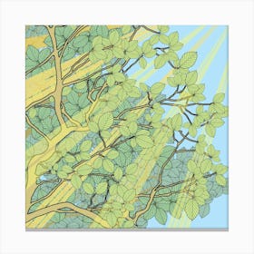 Sunny Trees Canvas Print