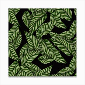 Leaves Black Background Pattern Canvas Print