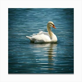 Swan photo 13 Canvas Print