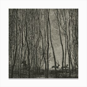 Deer In The Woods 1 Canvas Print