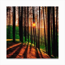 Sunset In The Forest 26 Canvas Print