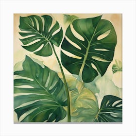 Monstera leafs Canvas Print