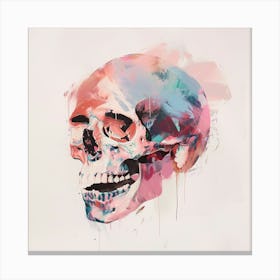 Skull Painting 43 Canvas Print