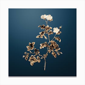 Gold Botanical White Sweetbriar Rose on Dusk Blue n.3511 Canvas Print