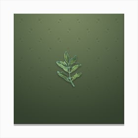 Vintage Buxus Colchica Twig Botanical on Lunar Green Pattern Canvas Print