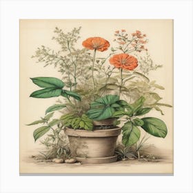 Orange Flowers In A Pot Canvas Print