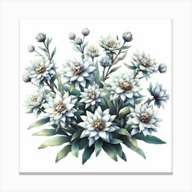 Flowers of Edelweiss Canvas Print