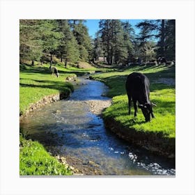 Cows Grazing In A Stream Canvas Print