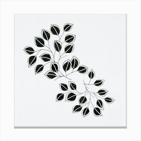 Flowing Leaves Black White Canvas Print