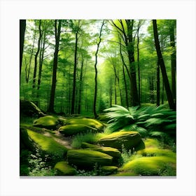 Mossy Forest 2 Canvas Print