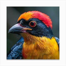 Colorful Bird 20 Canvas Print