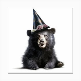 Black Bear In A Witch Hat Canvas Print
