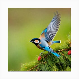 Blue Tit 27 Canvas Print