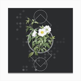Vintage White Rose of Snow Botanical with Geometric Line Motif and Dot Pattern Canvas Print