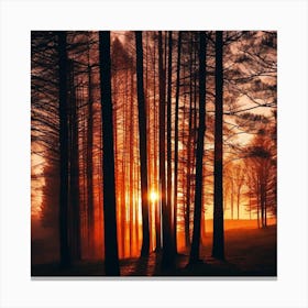 Sunrise In The Forest 4 Canvas Print