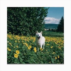 White Dog In A Field Canvas Print