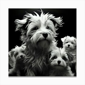 Black And White Dogs 1 Canvas Print