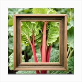 Rhubarb In A Frame 5 Canvas Print
