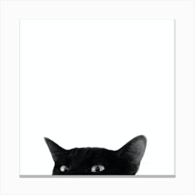 I see you Canvas Print