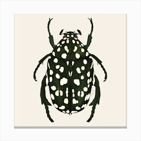Green Beetle Square Canvas Print