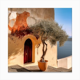 Olive Tree In Late Afternoon (I) Canvas Print