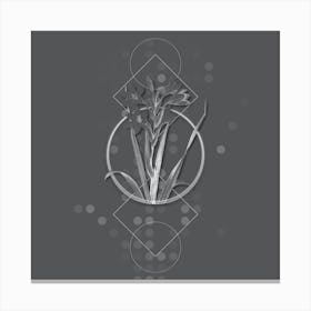 Vintage Gladiolus Saccatus Botanical with Line Motif and Dot Pattern in Ghost Gray n.0370 Canvas Print