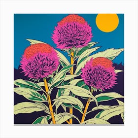 Globe Amaranth 2 Pop Art Illustration Square Canvas Print