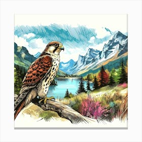 Falcon on Branch by Mountain Lake Color Drawing - Wild Bird Artwork 140 Canvas Print