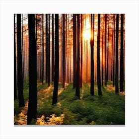 Sunrise In The Forest 30 Canvas Print