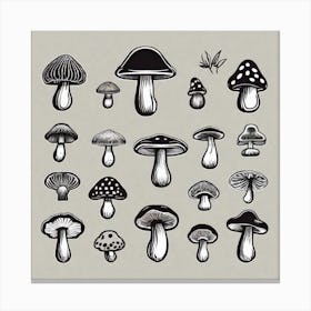 Set Of Hand Drawn Mushrooms Canvas Print