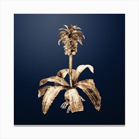 Gold Botanical Eucomis Regia on Midnight Navy Canvas Print