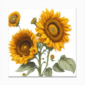Sunflower Luck Canvas Print