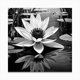 Water Lily Canvas Print